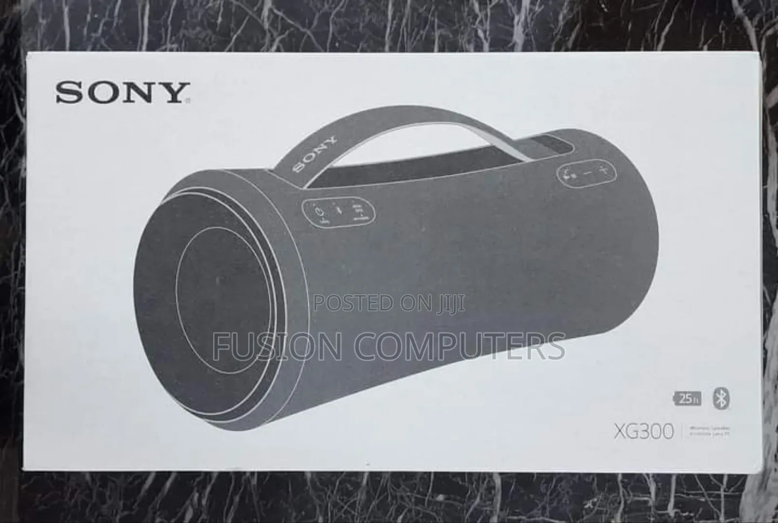Sony XG300 X-series Portable Wireless Speaker