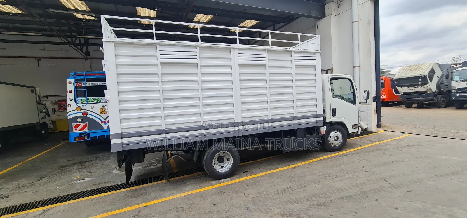 Bluepower NMR Isuzu