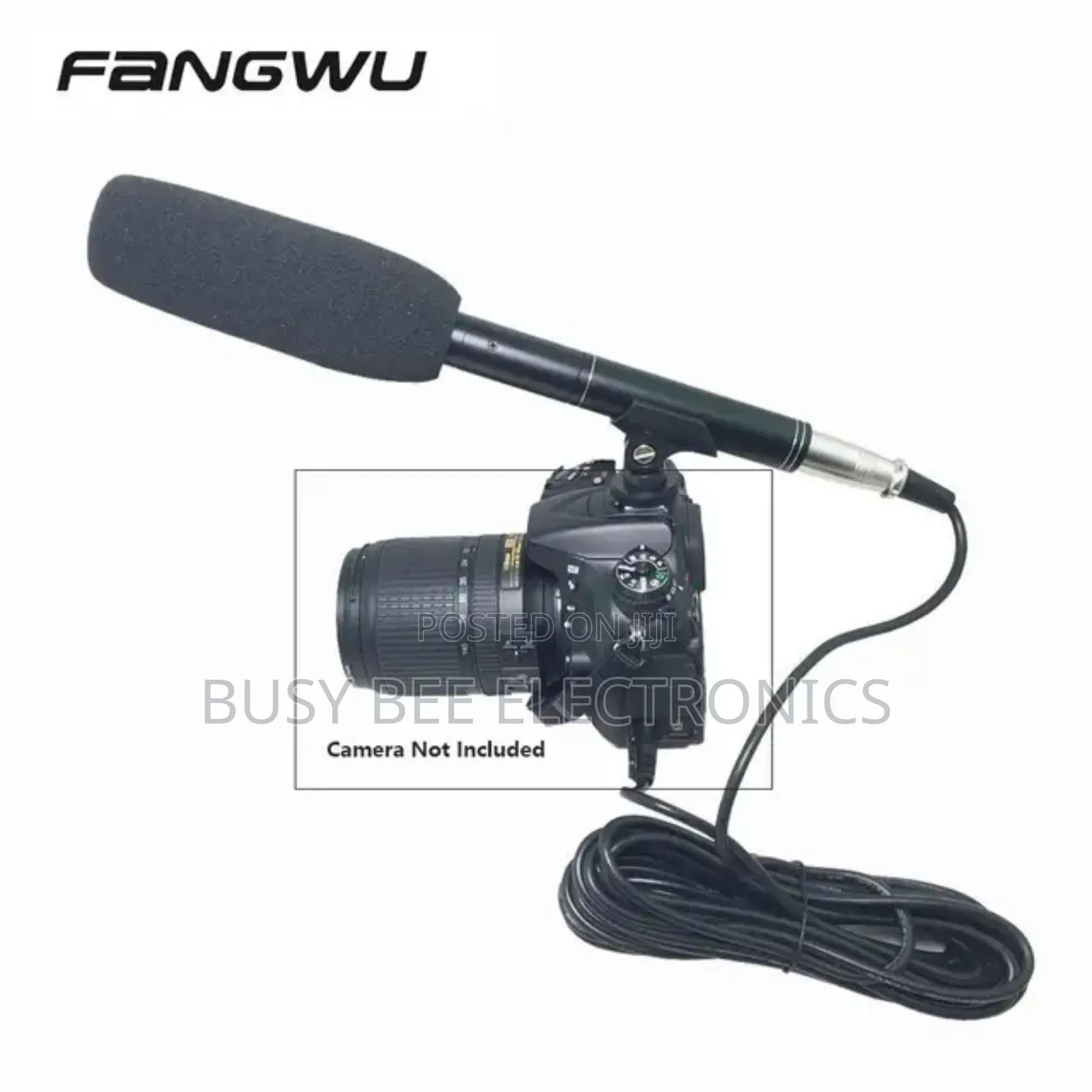 Panasonic Boom Condenser Microphone