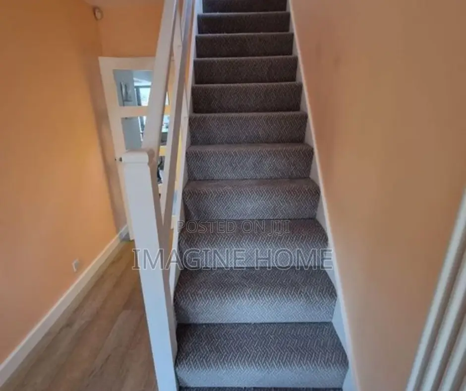 Stairs Wall to Wall Adorable Beautiful Carpet