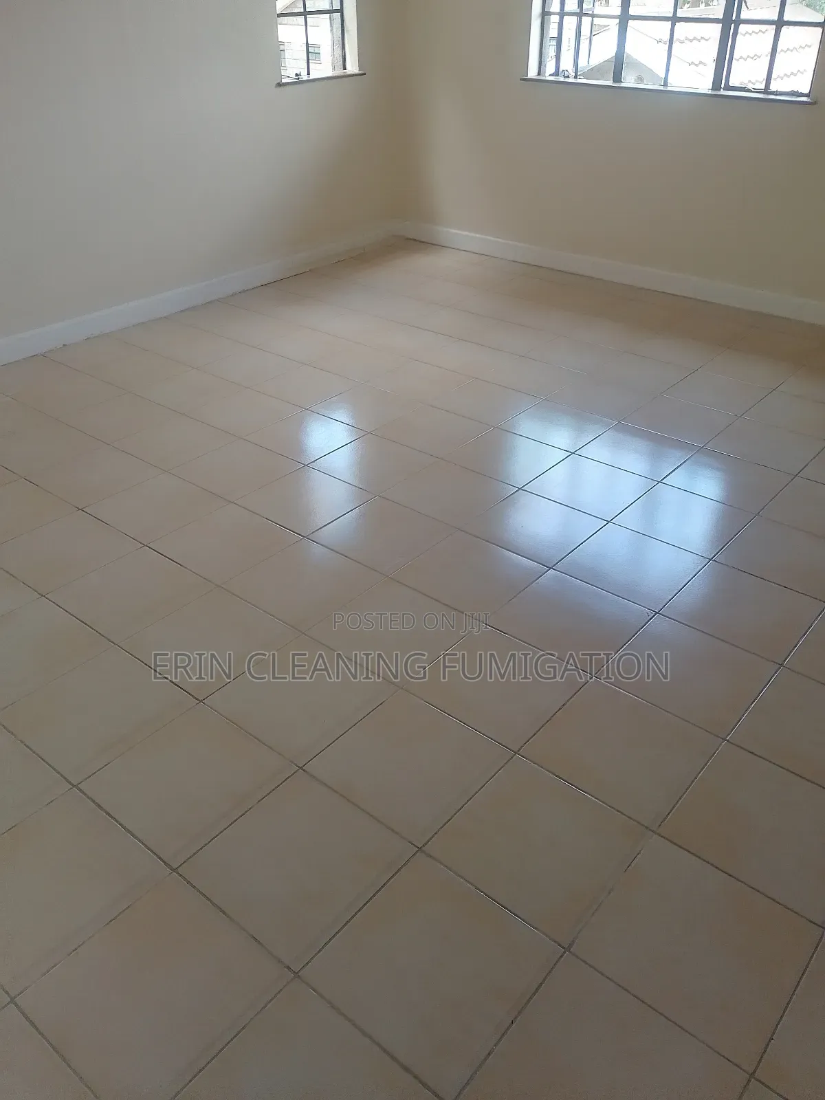 Deep House Cleaning Services/Fumigation Services