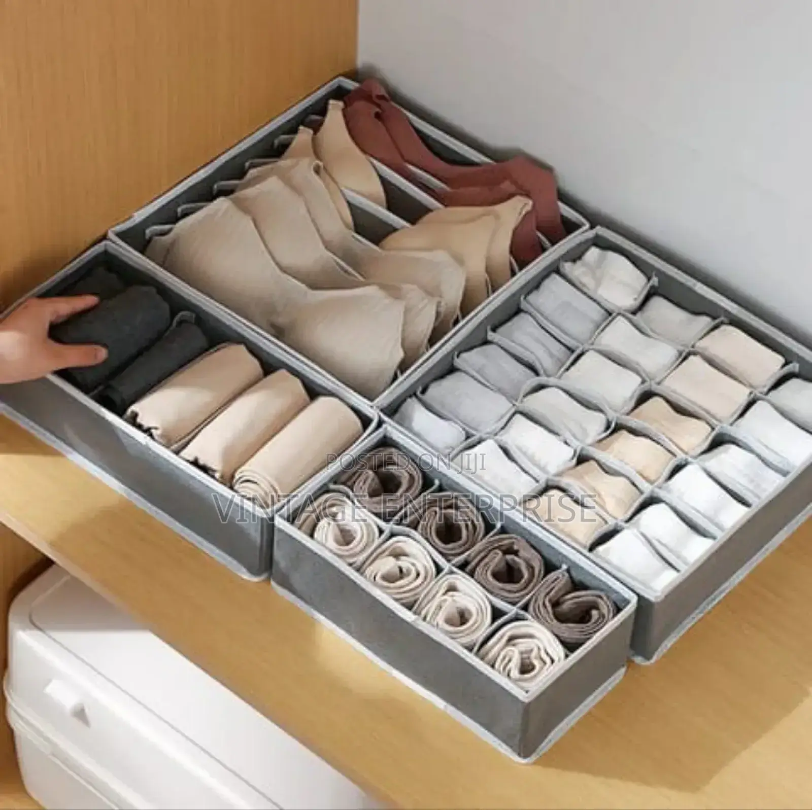 4in1 Undergarments Organizer
