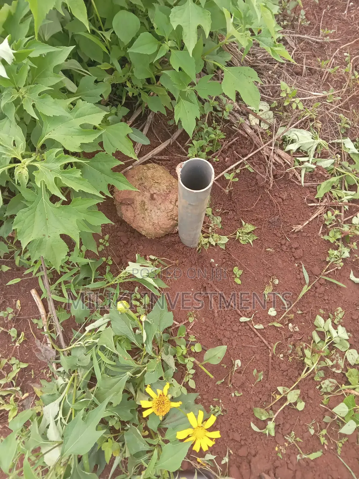 Quarter an Acre on Sale at Thika Greens Estate