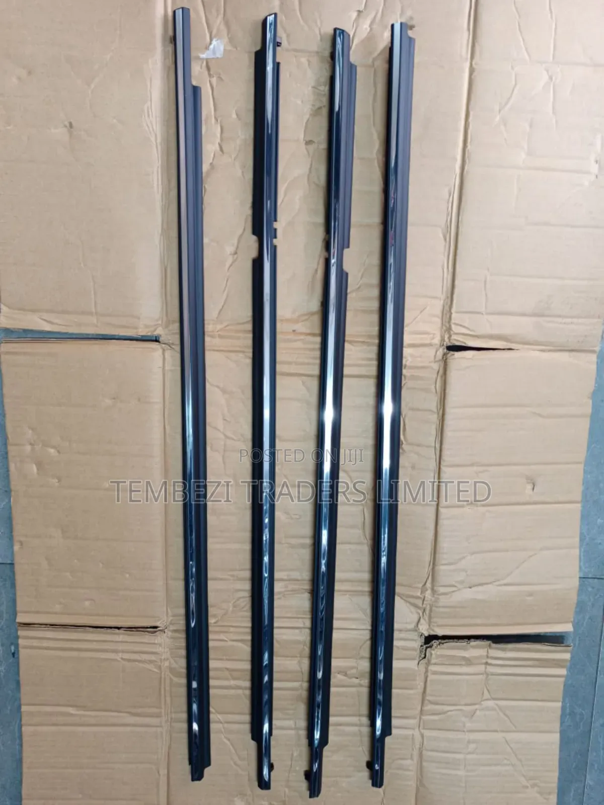 Chrome Mouldings Weather Strip Axio