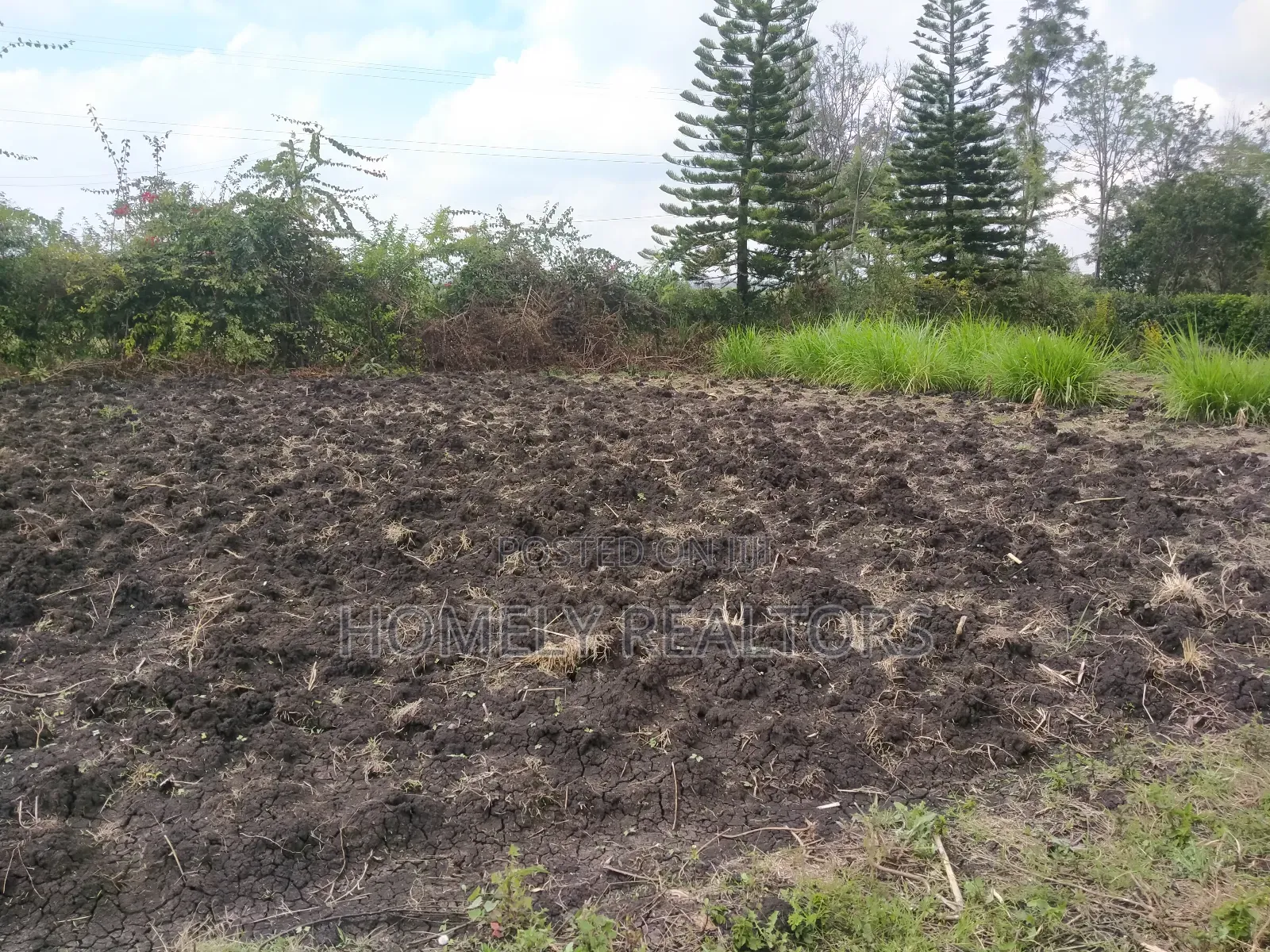 Residential Eighth Acre Plot in Ngong in Olkeri Near Tarmac
