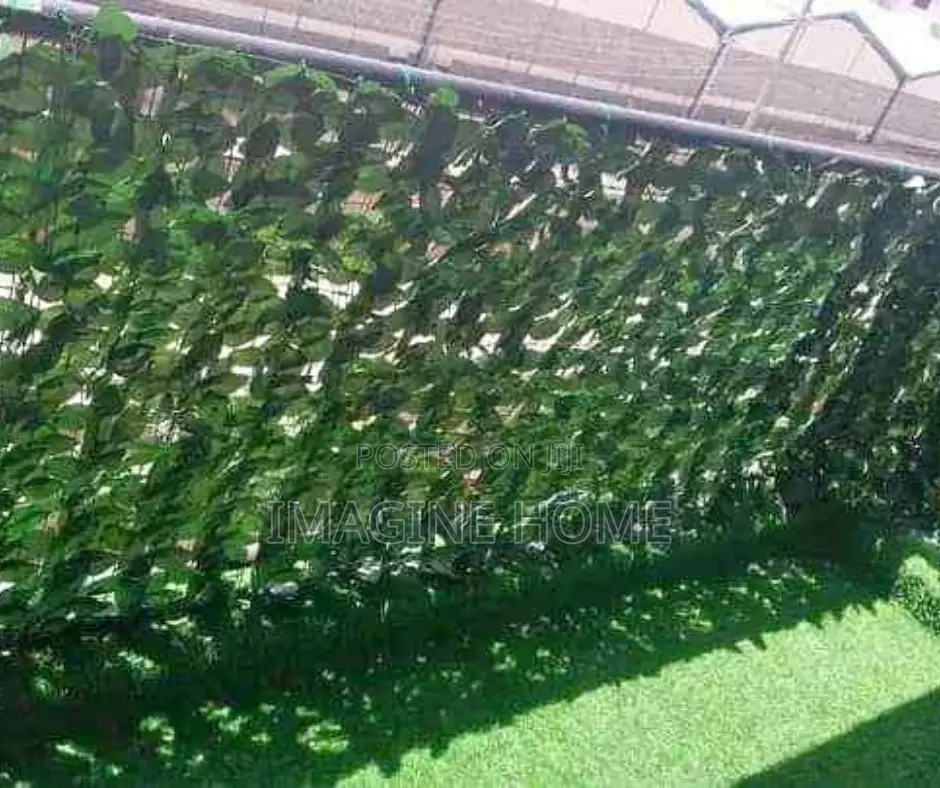 Privacy Dark Green Fence