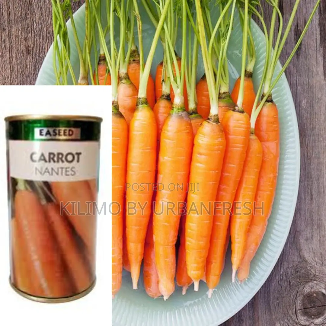 Carrot Nantes Seeds 25g