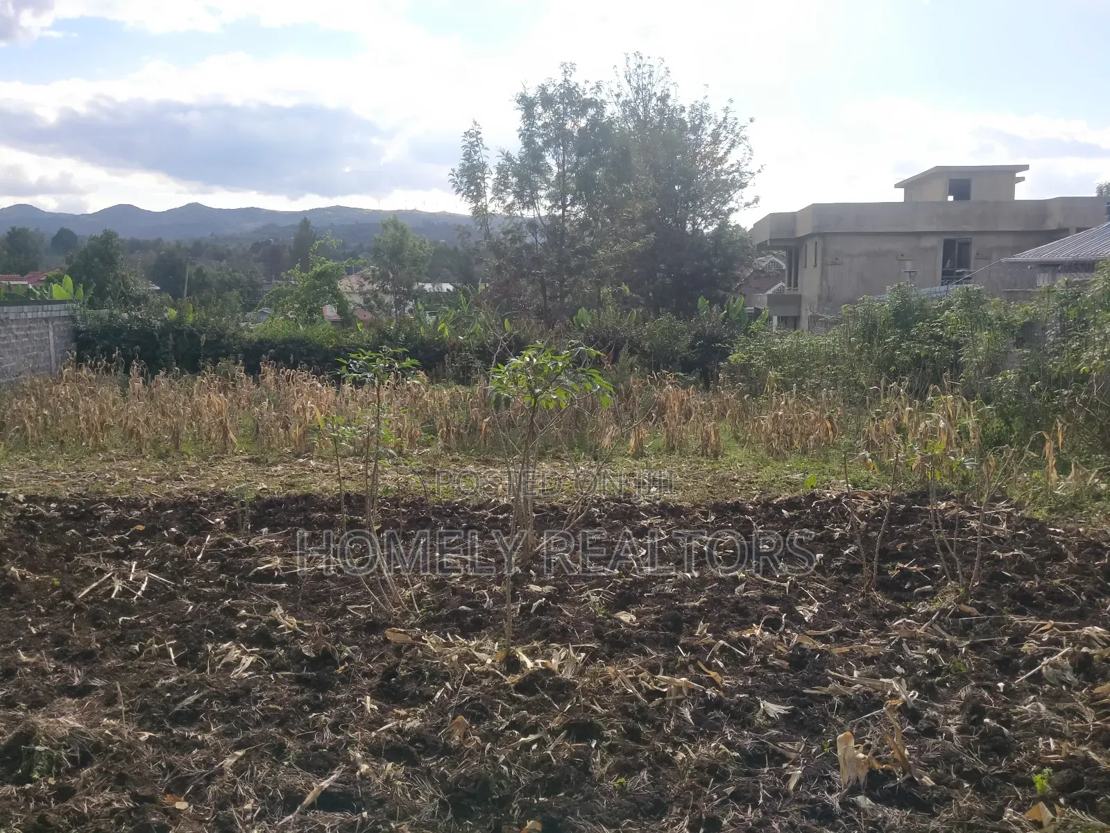 Residential Quarter Acre Plot in Ngong, Ol Keri Near Tarmac