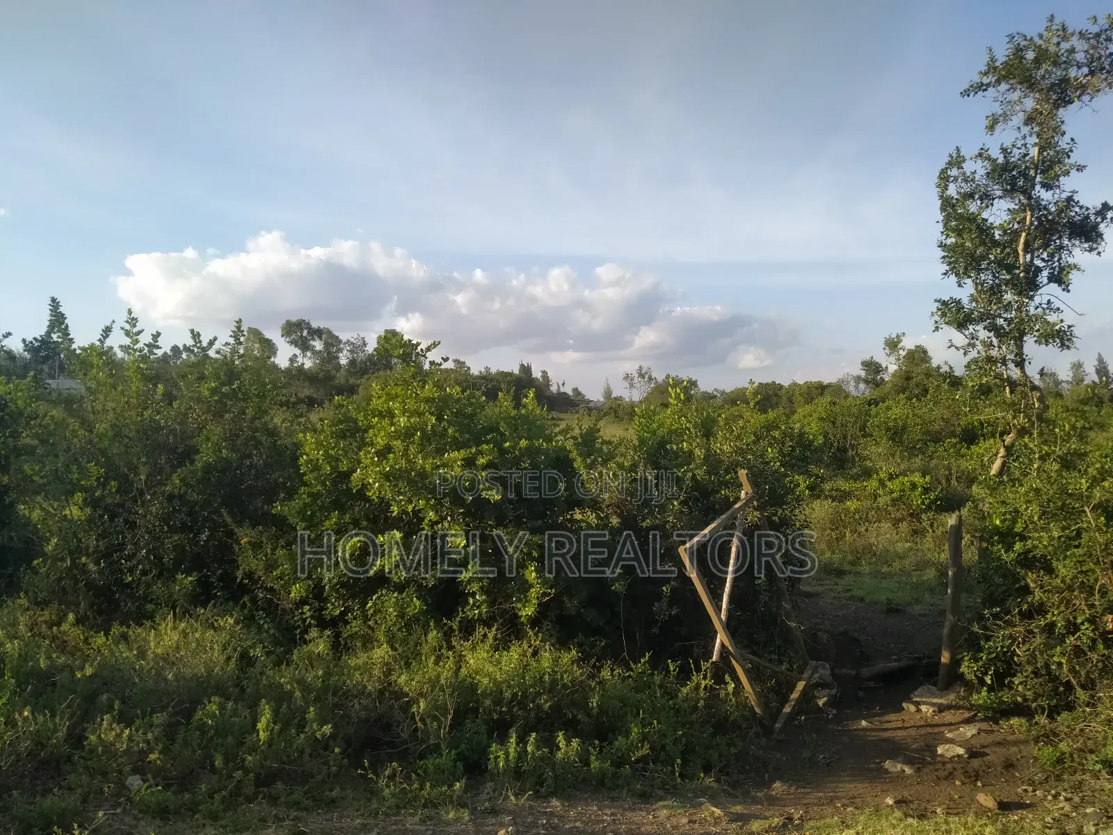 Quarter Acre Plot in Ngong, Olkeri 100 Meters From Tarmac