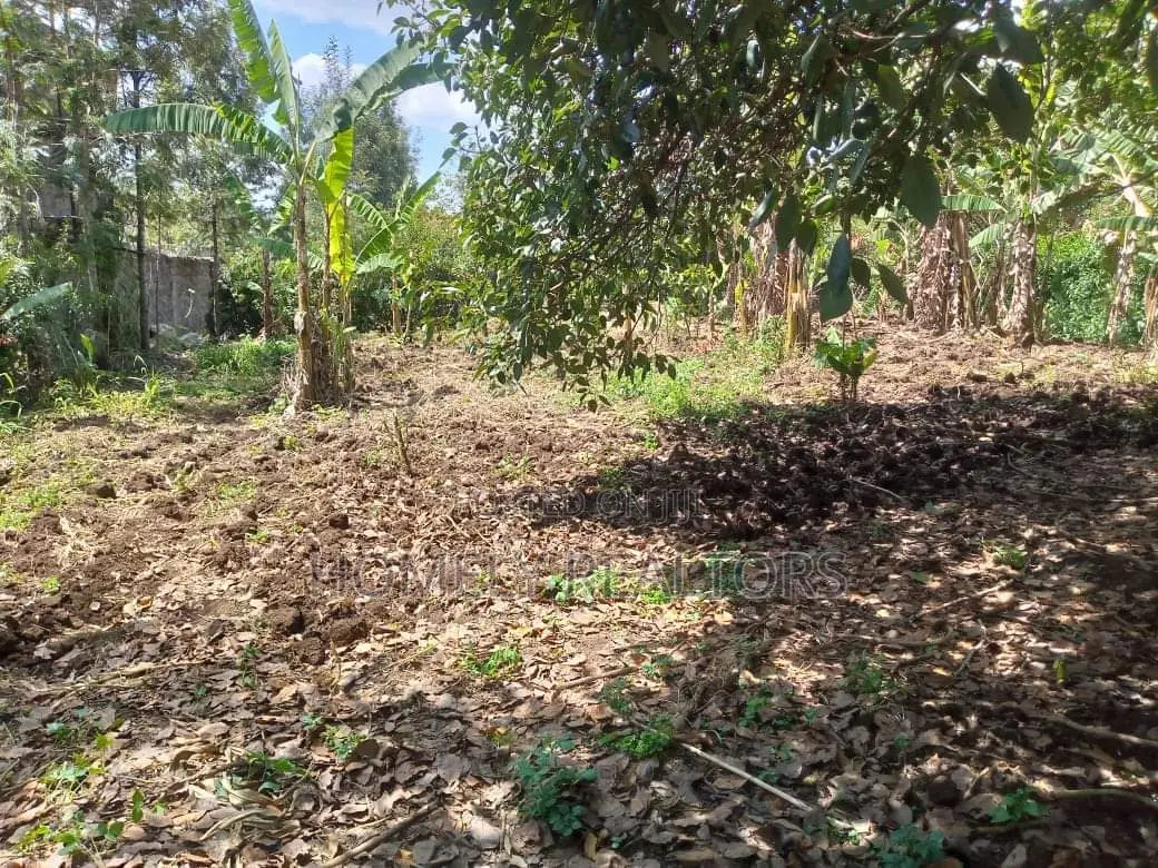 50*100 Plot on Sale in Ngong, Memusi. Has Good Neighborhood