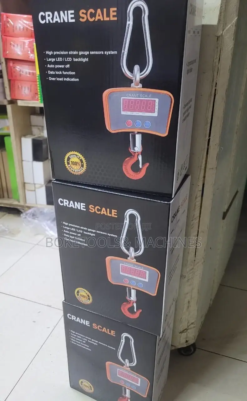 300 Kg Hanging Scale