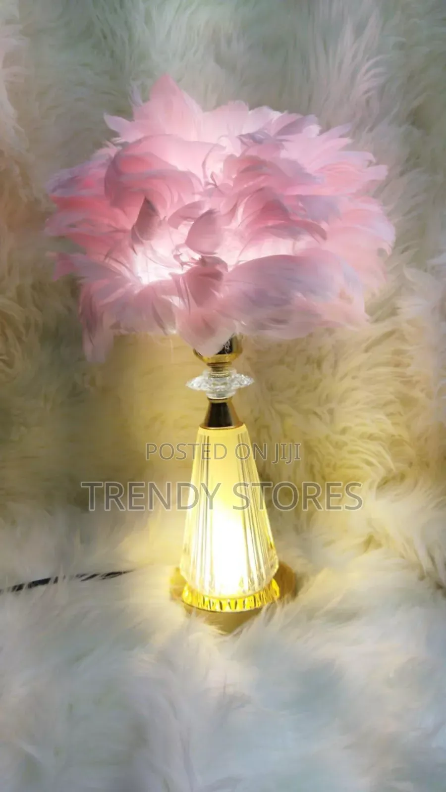 Pink Feather Glass Stand Lamp