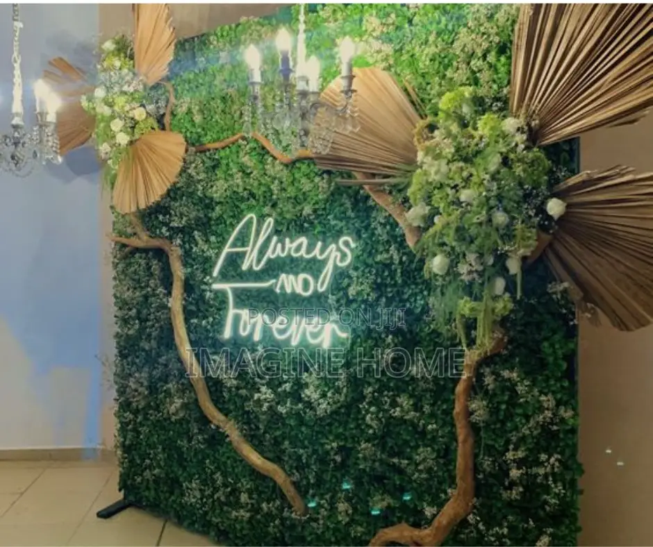 Beautiful Green Wall Hedges Plants