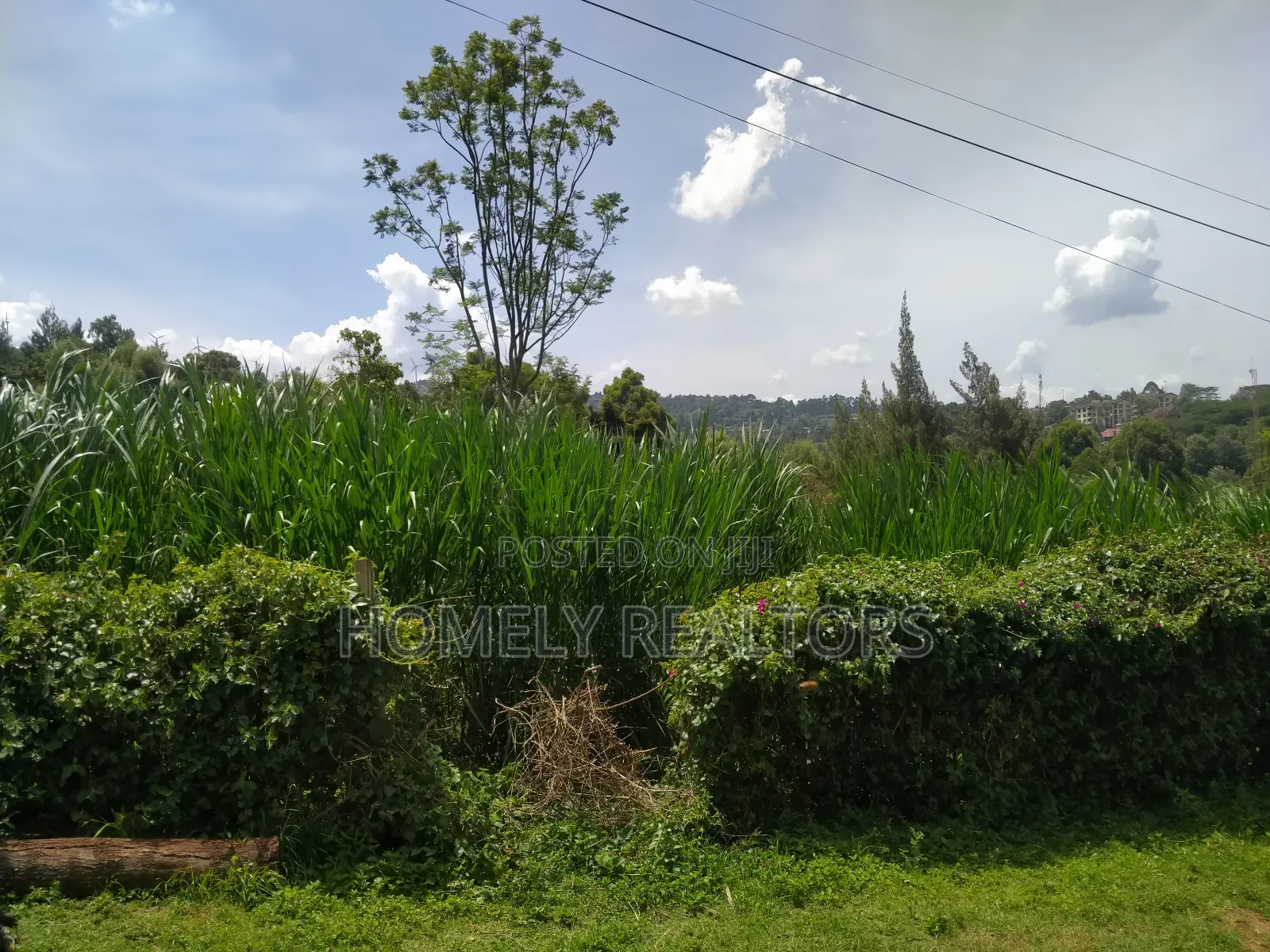Quarter Acre Red Soil Plot in Ngong, Bondeni. Ready to Build