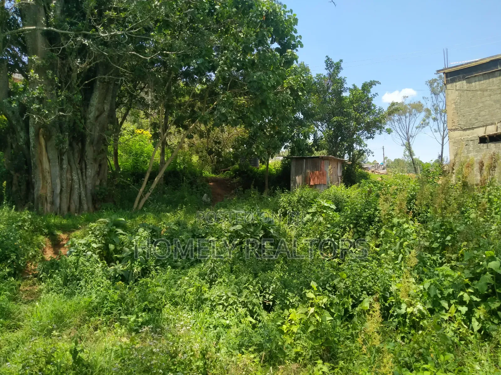 Residential Eighth Acre Red Soil Plot in Kerarapon, Ngong