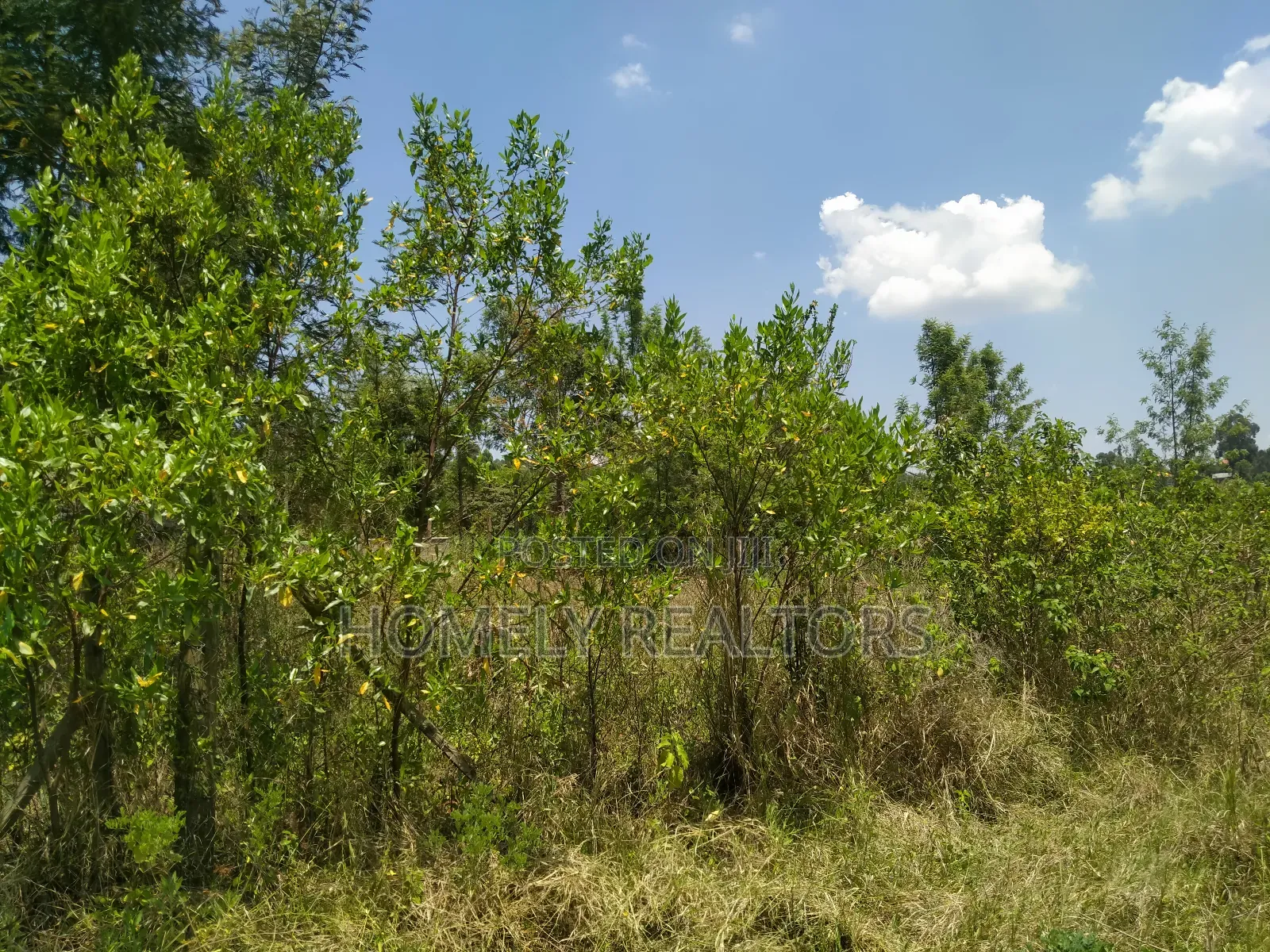 Residential Eighth Acre Plot in Kerarapon, Ngong. Red Soil