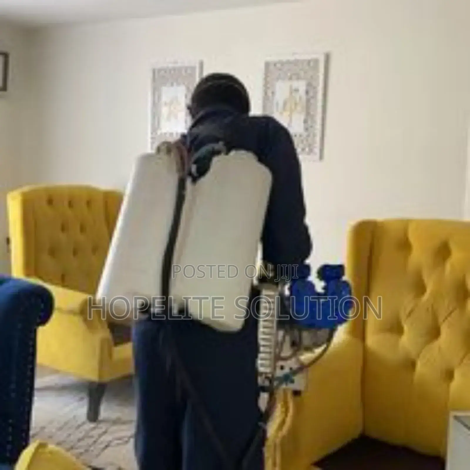 Effective Way of Eradicating Cockroaches and Bedbugs