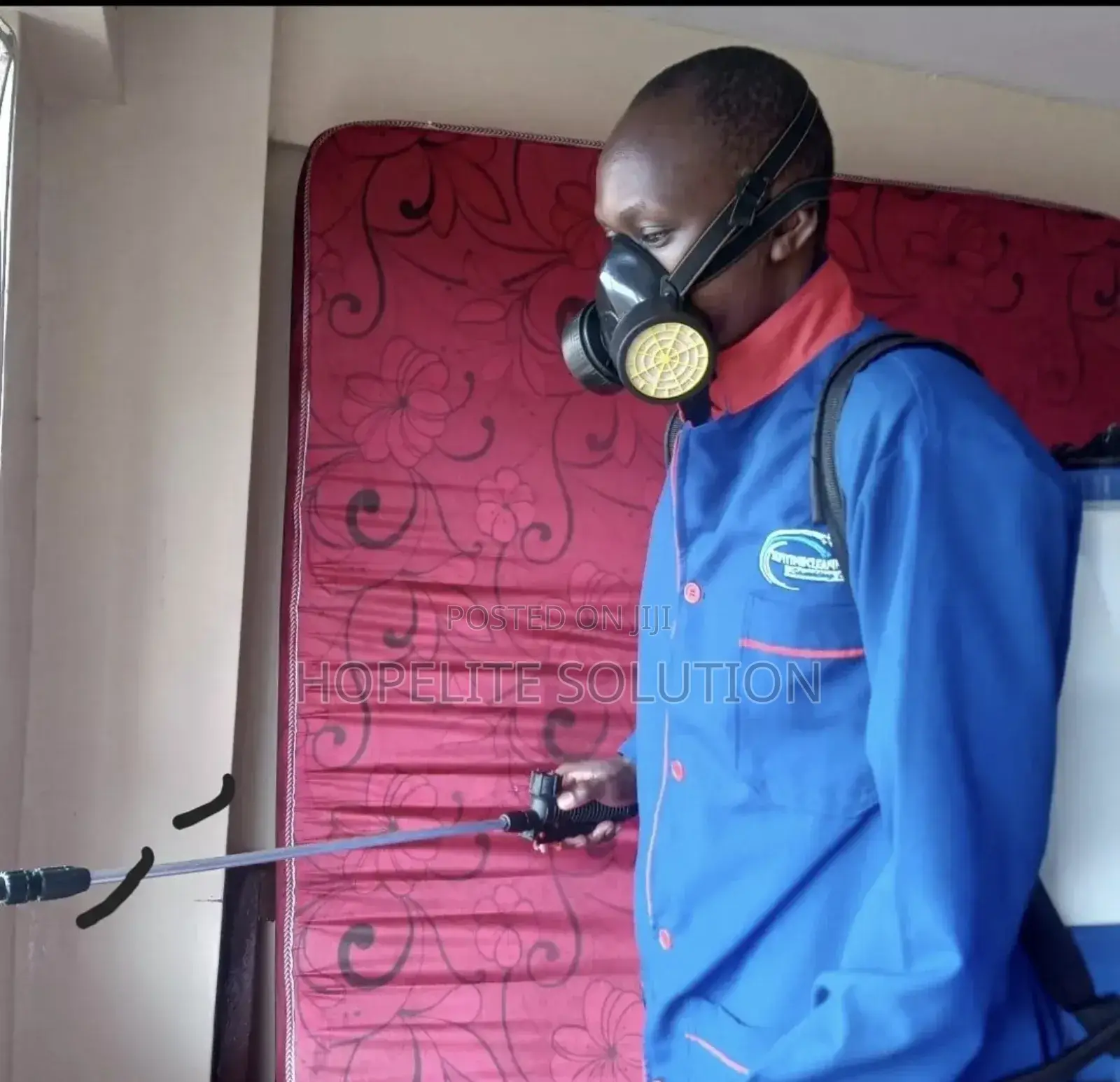 Best and Most Affordable Fumigation Services Around