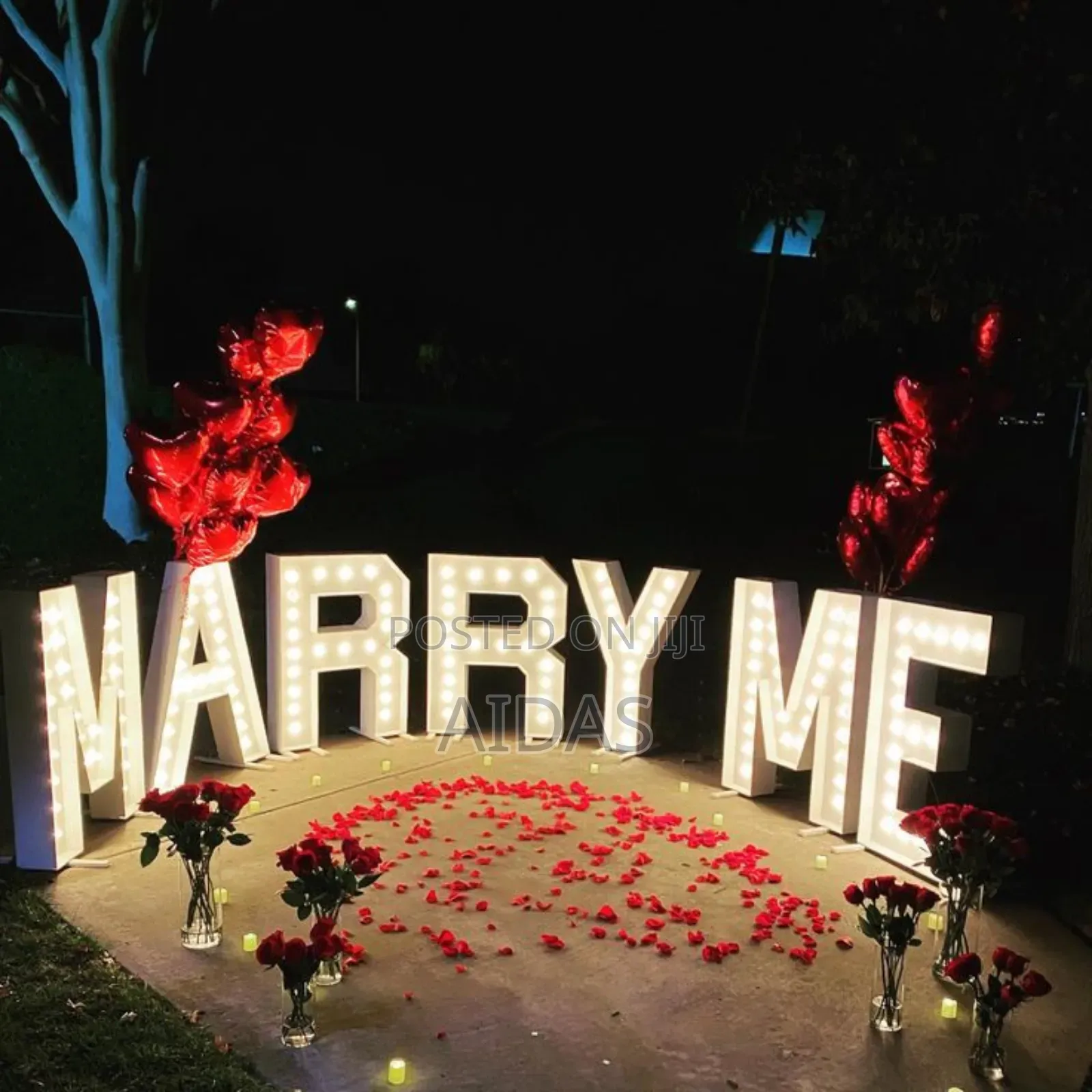 Engagement Suprise Propasal Package