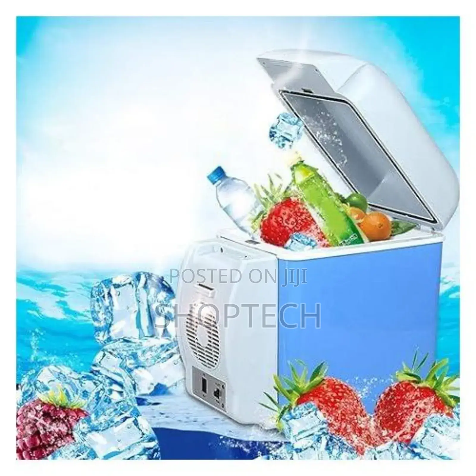 Portable Car Fridge for All Vehicles