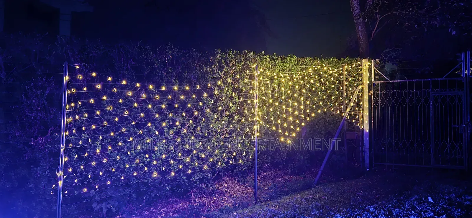 Warm Fairy Lights
