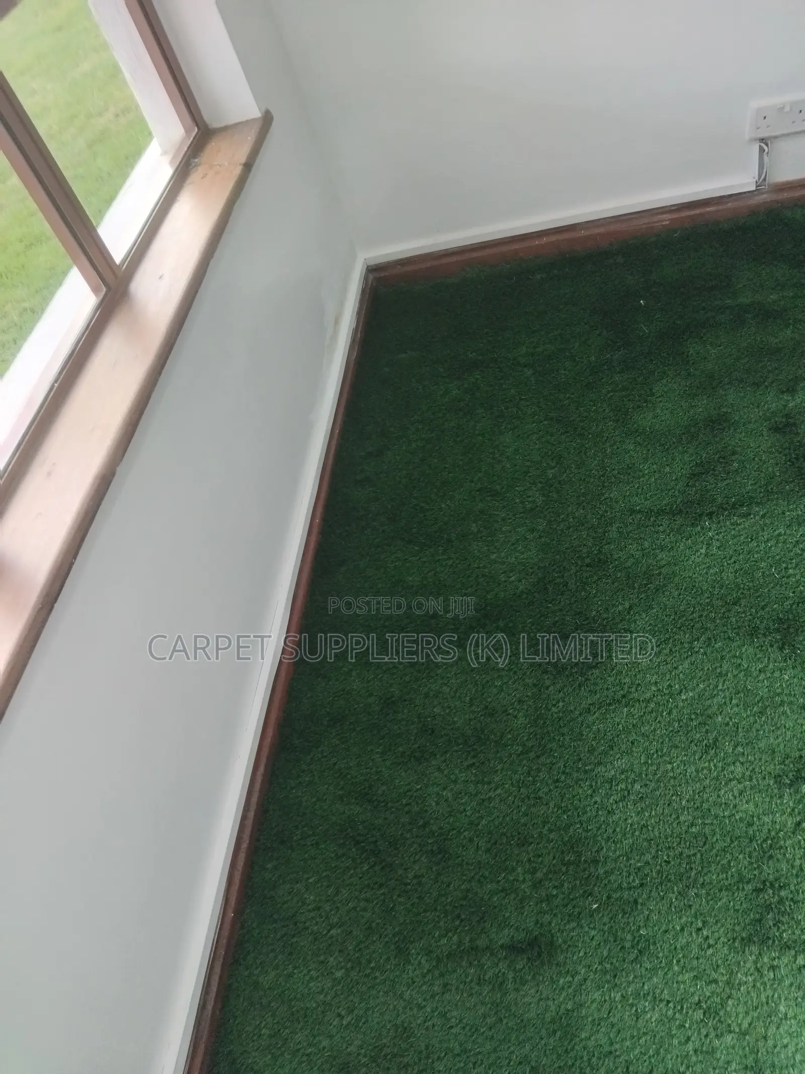 Green Grass Carpet(Indoor Use)