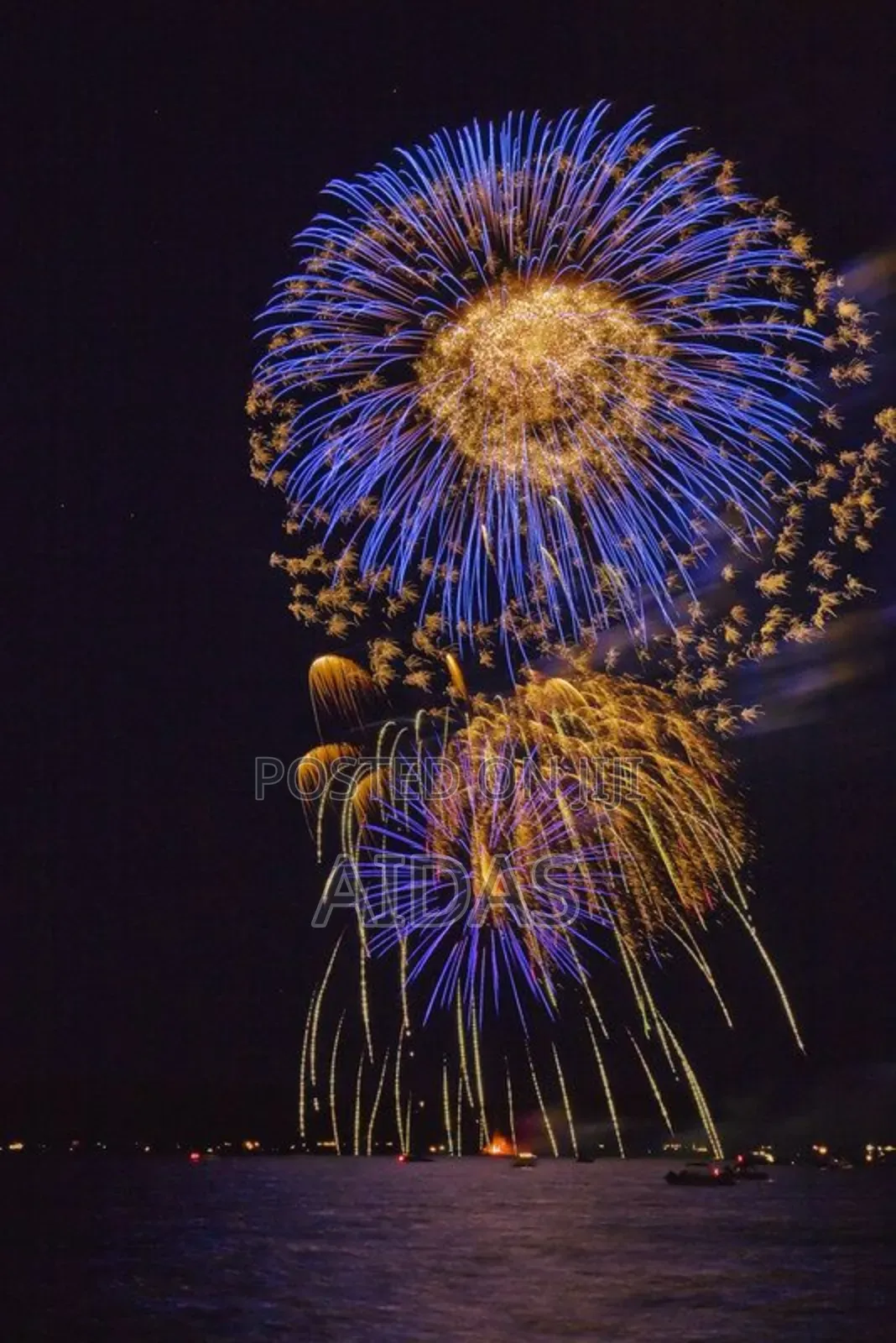 12 Shots Loudmouth Fireworks