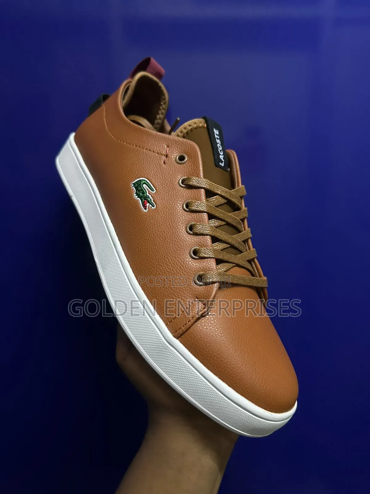 Lacoste Smart Casual Shoes, Brown
