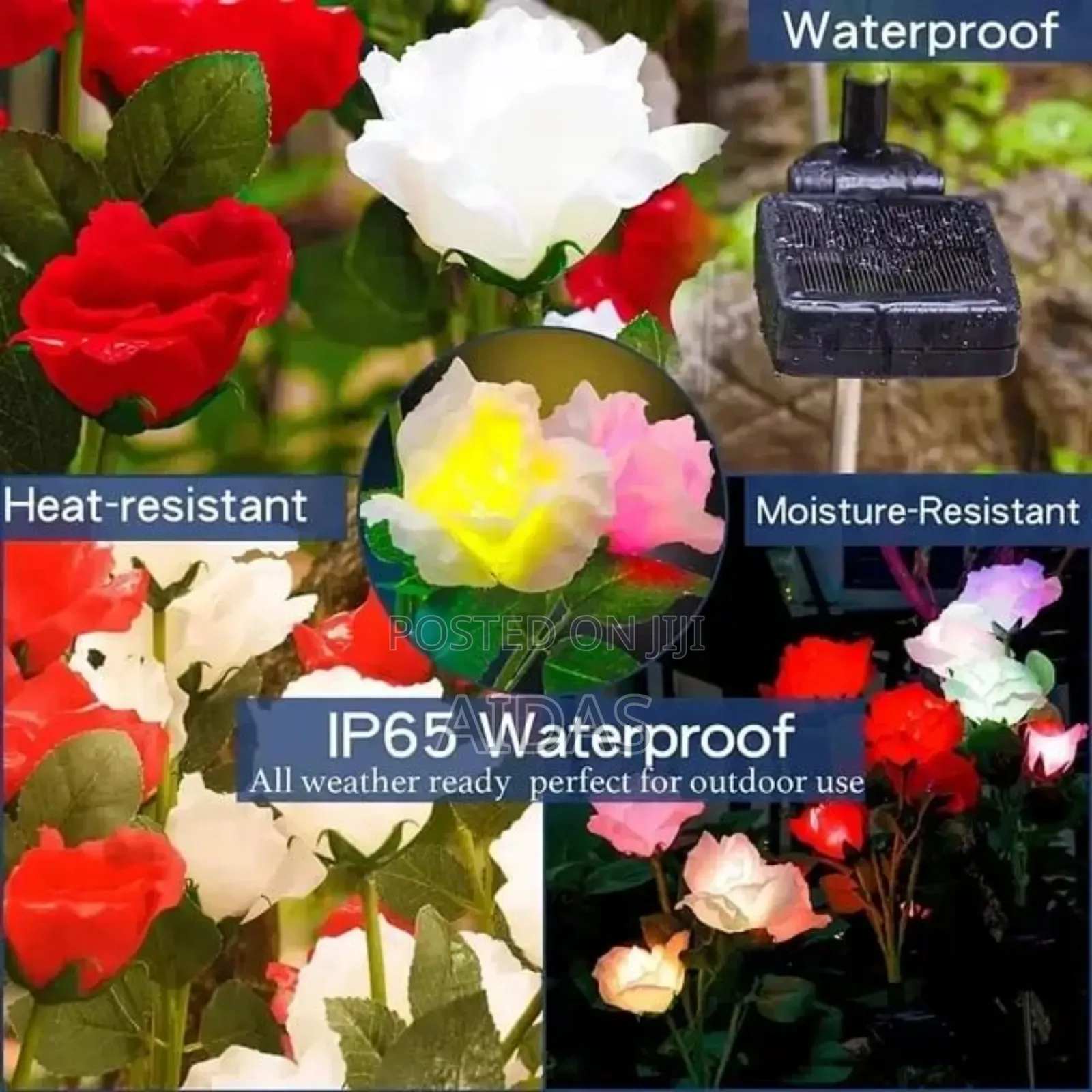 Garden LED Roses