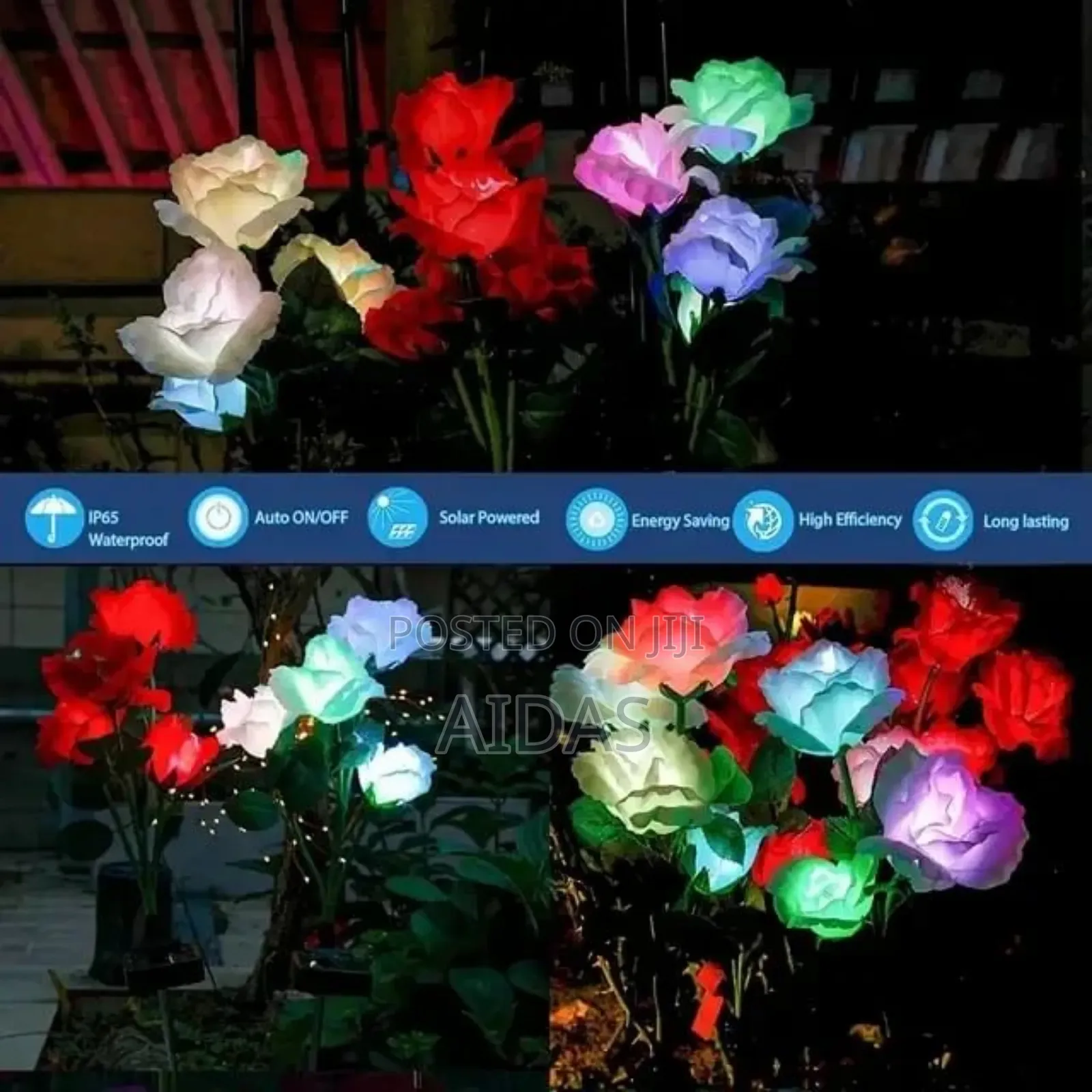 Garden LED Roses