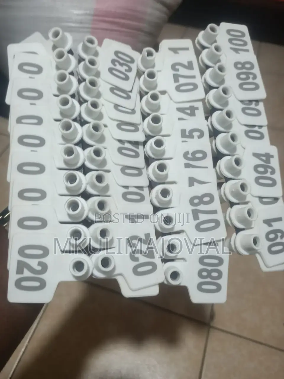 Cow Medium Broad Ear Tags New