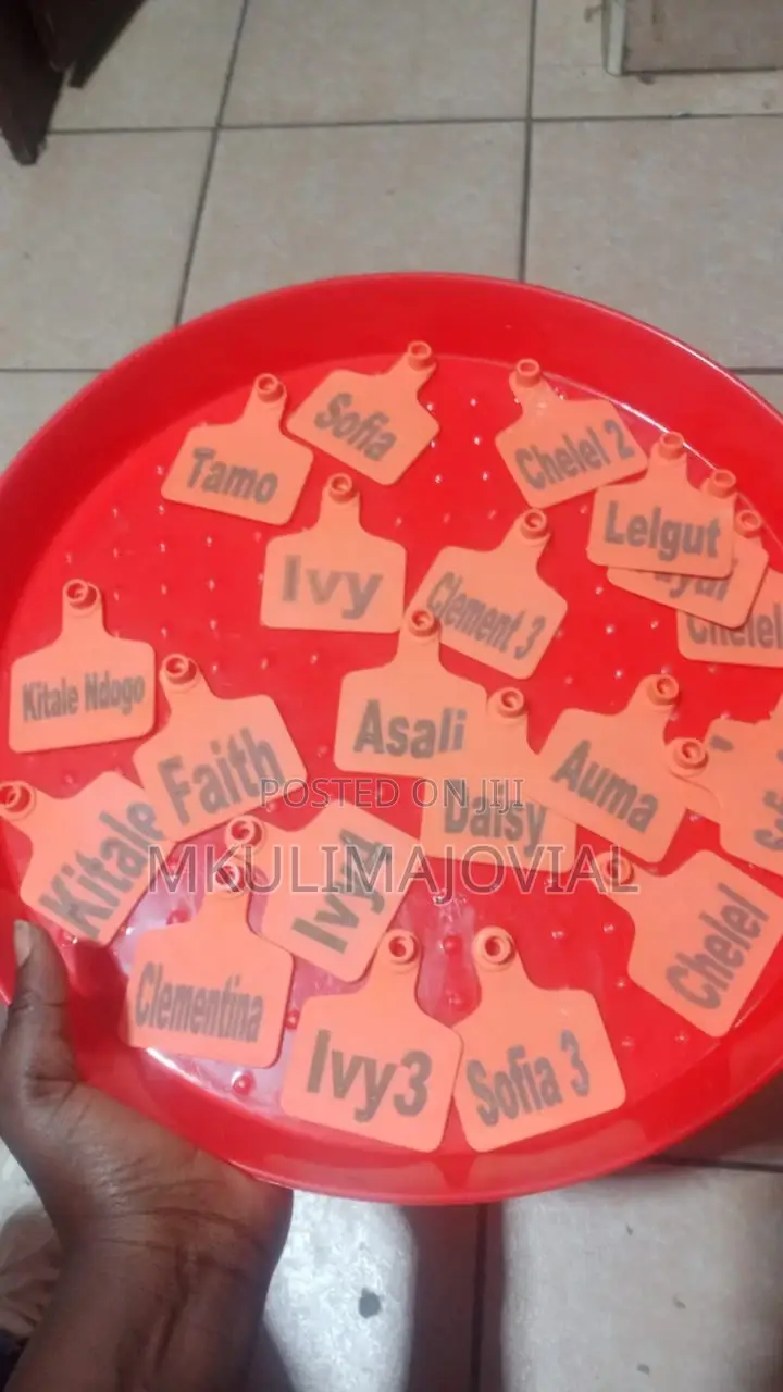 Laser Custom Printed Customized Ear Tags for Cattle Cows