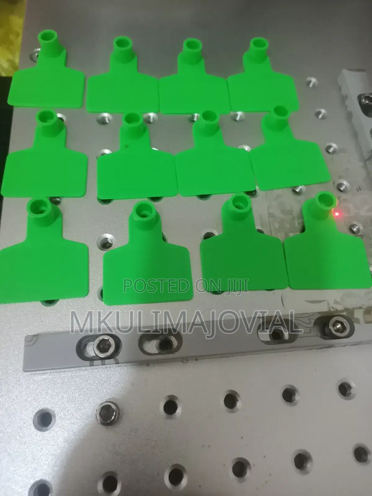 Green(Color) Plain Ear Tags (Sheep/Goat/Cows)