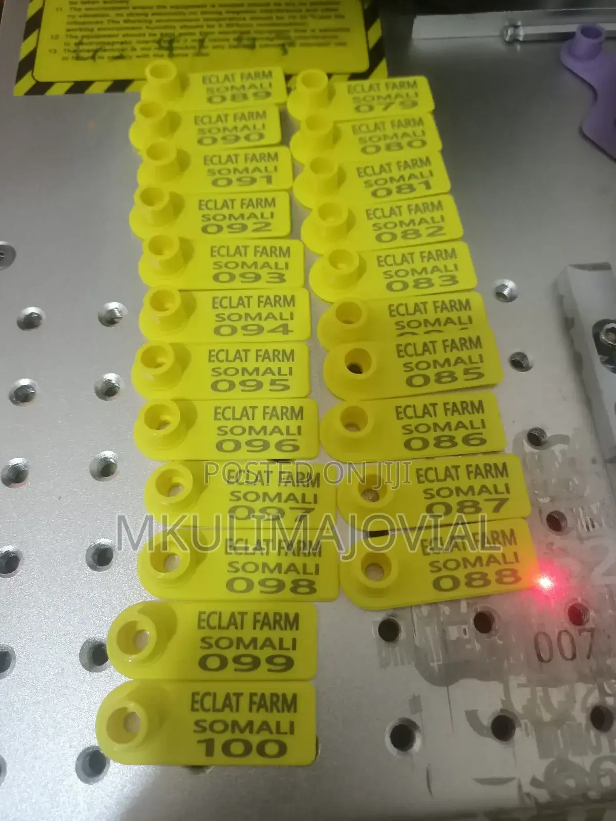 Ear Tags With Permanent Customization