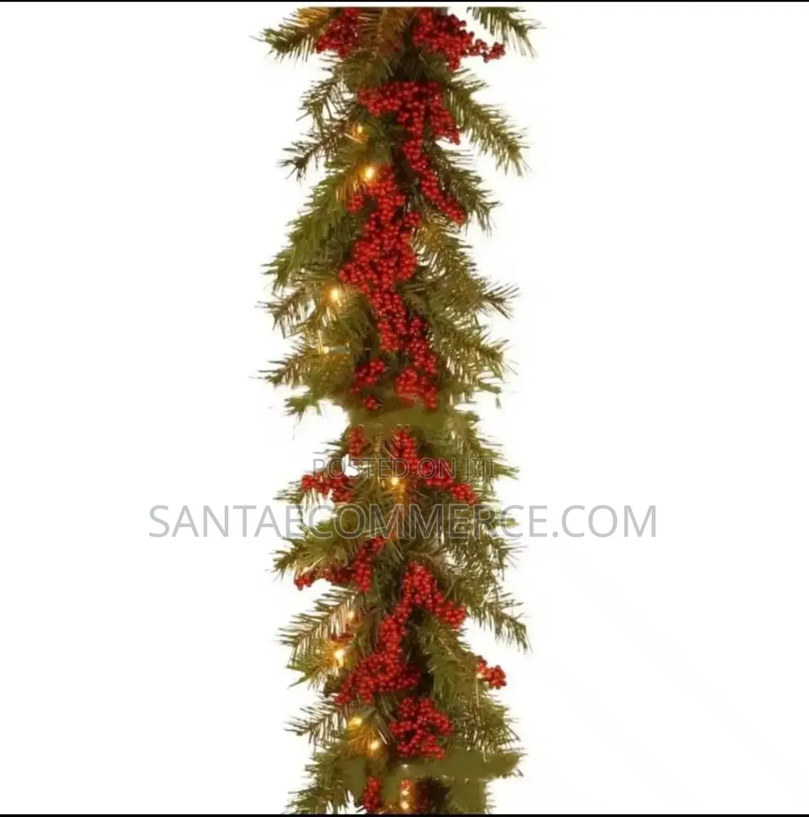 Christmas Garlands With Lights