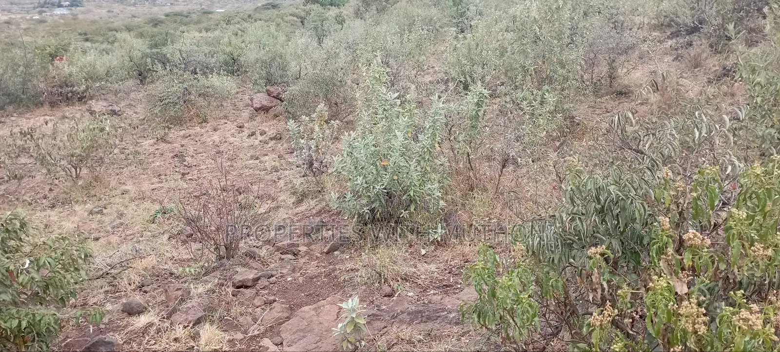 Plot for Sale in Kimuka,Ngong.