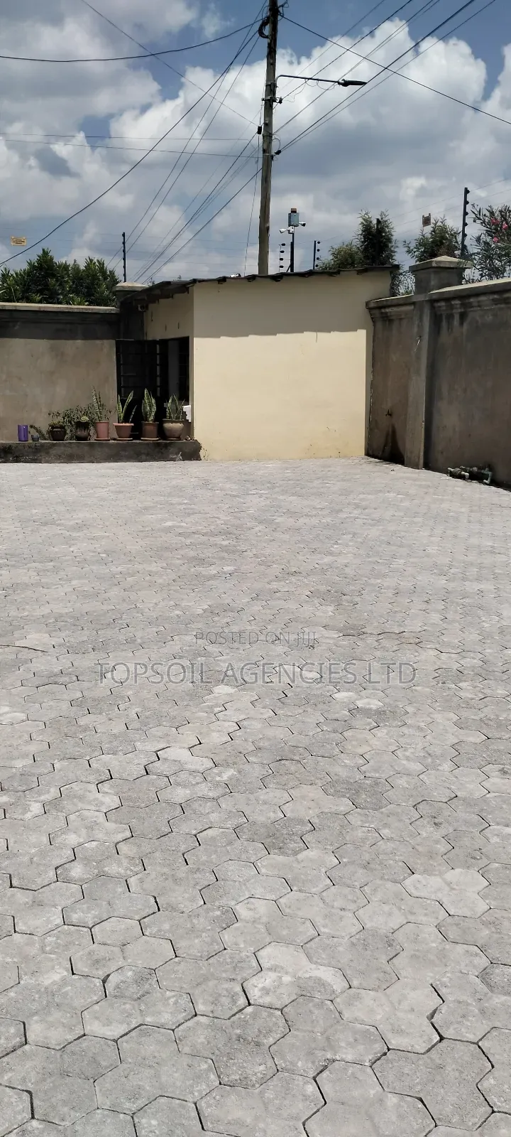 Cabro Hexagon Shape Per Sq Meter