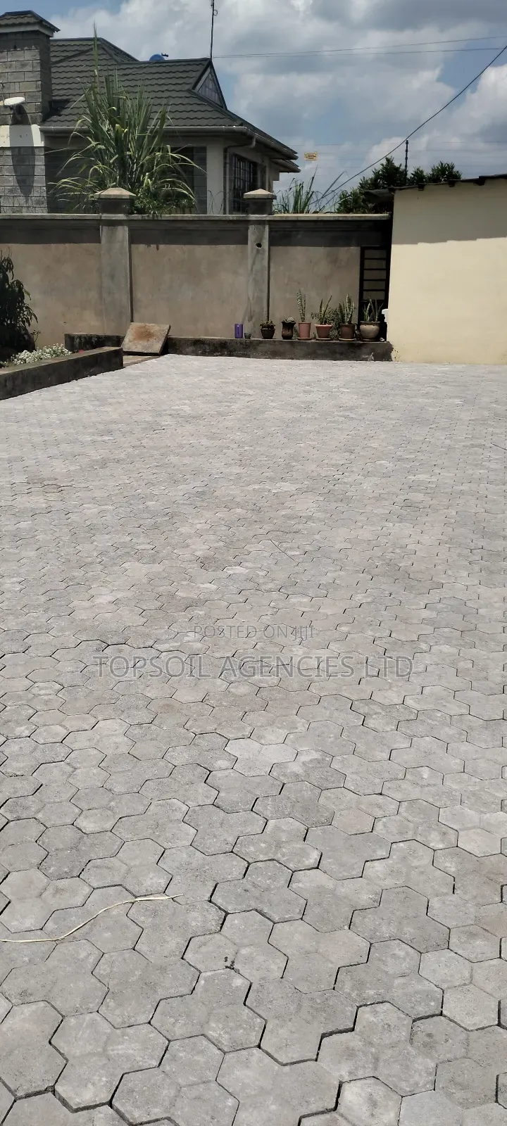 Cabro Hexagon Shape Per Sq Meter