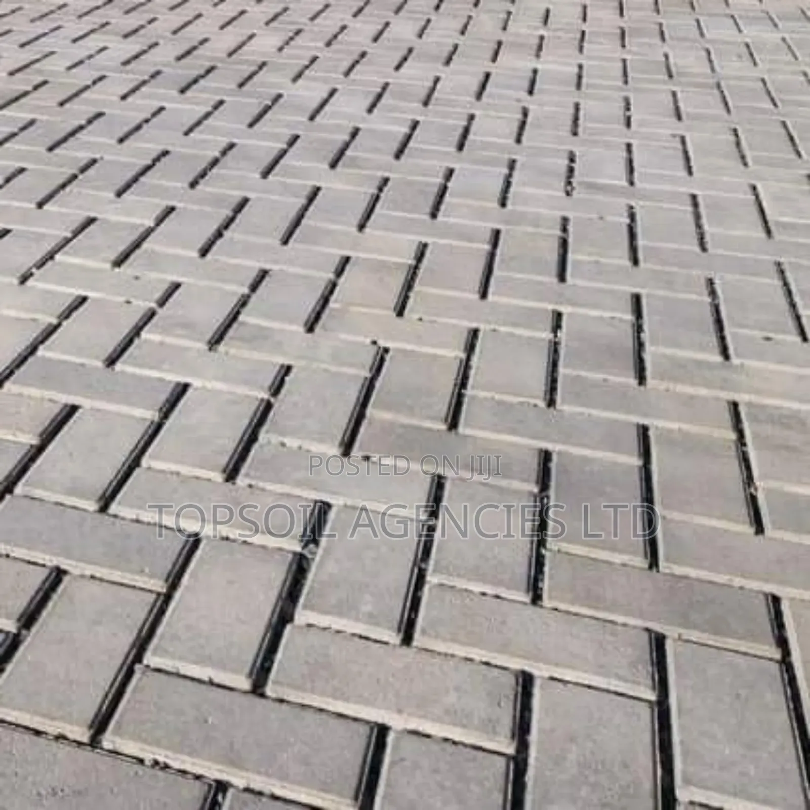 Cabro Paving Block Quad 60mm