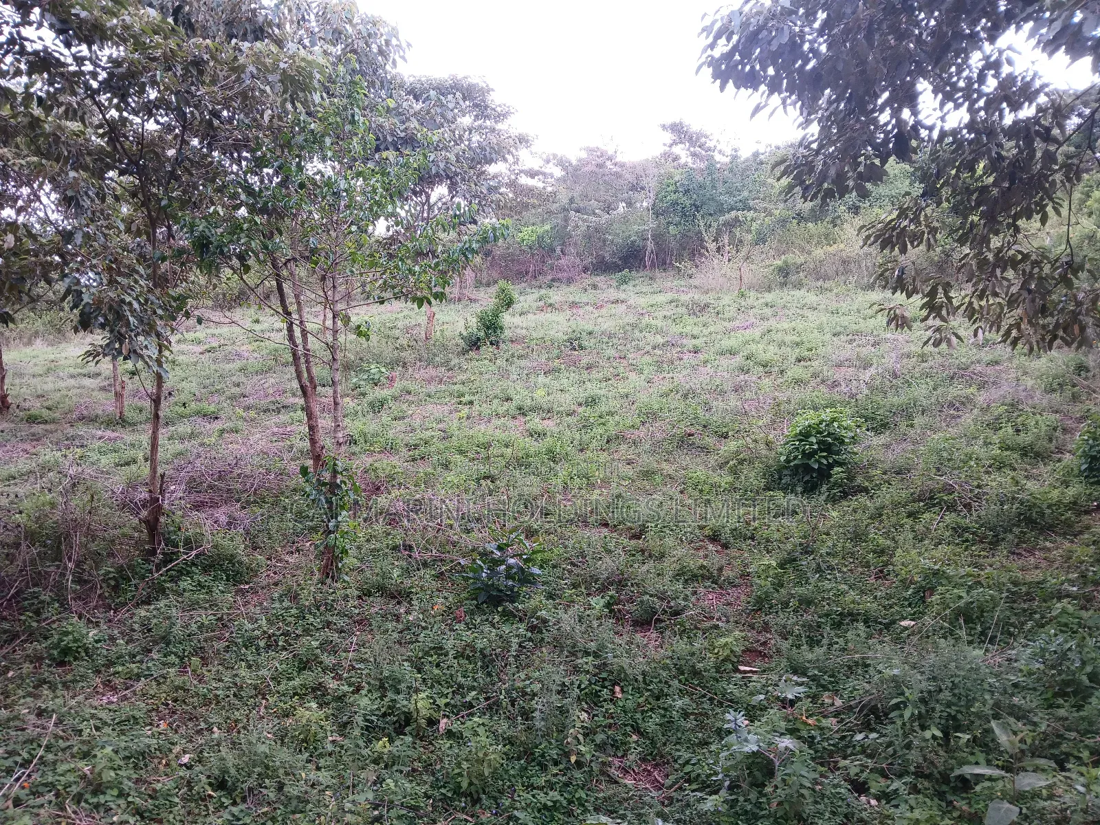 Prime Redsoil Quarter Acre in Karen View Estate, Matasia