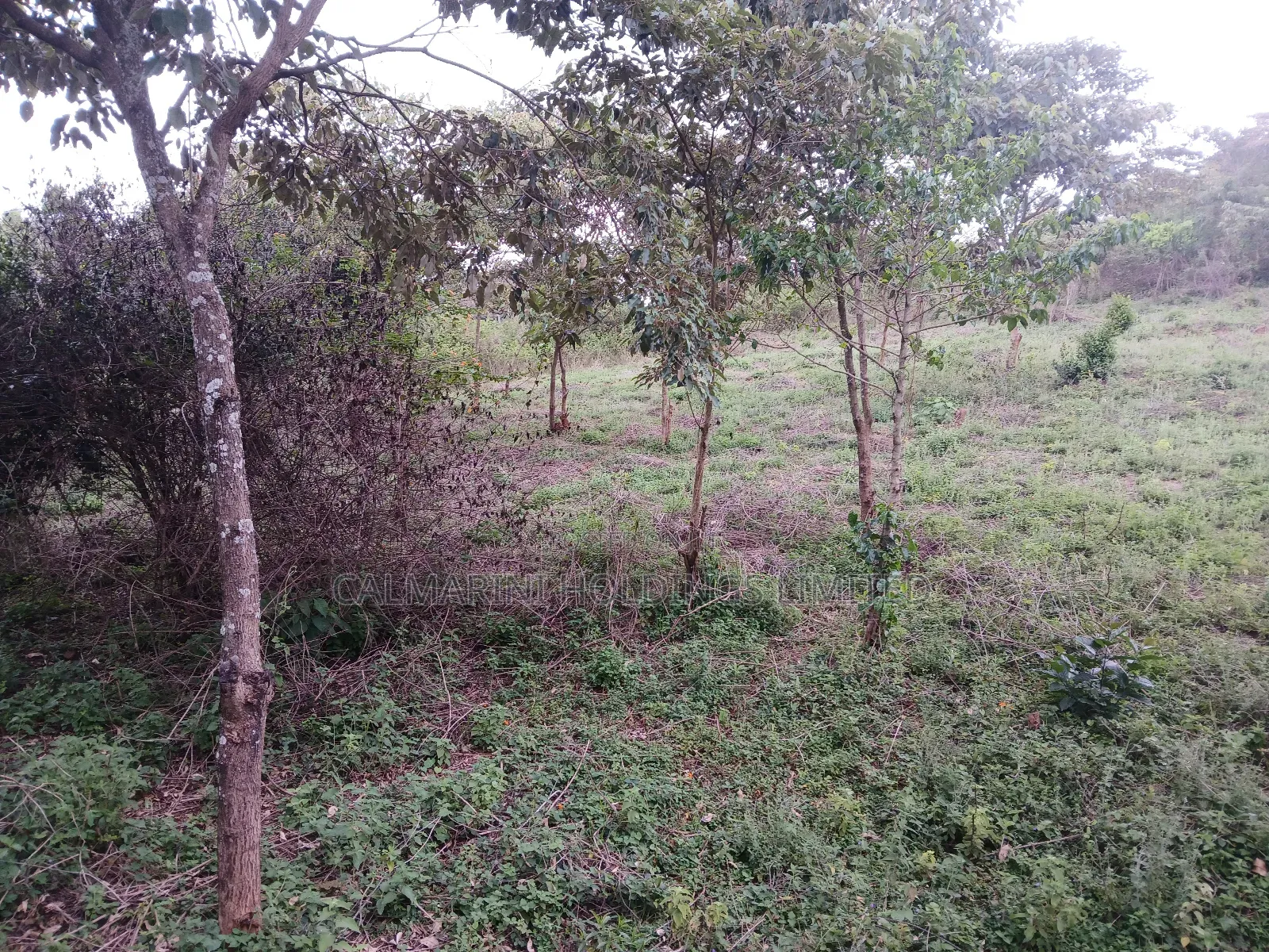 Prime Redsoil Quarter Acre in Karen View Estate, Matasia