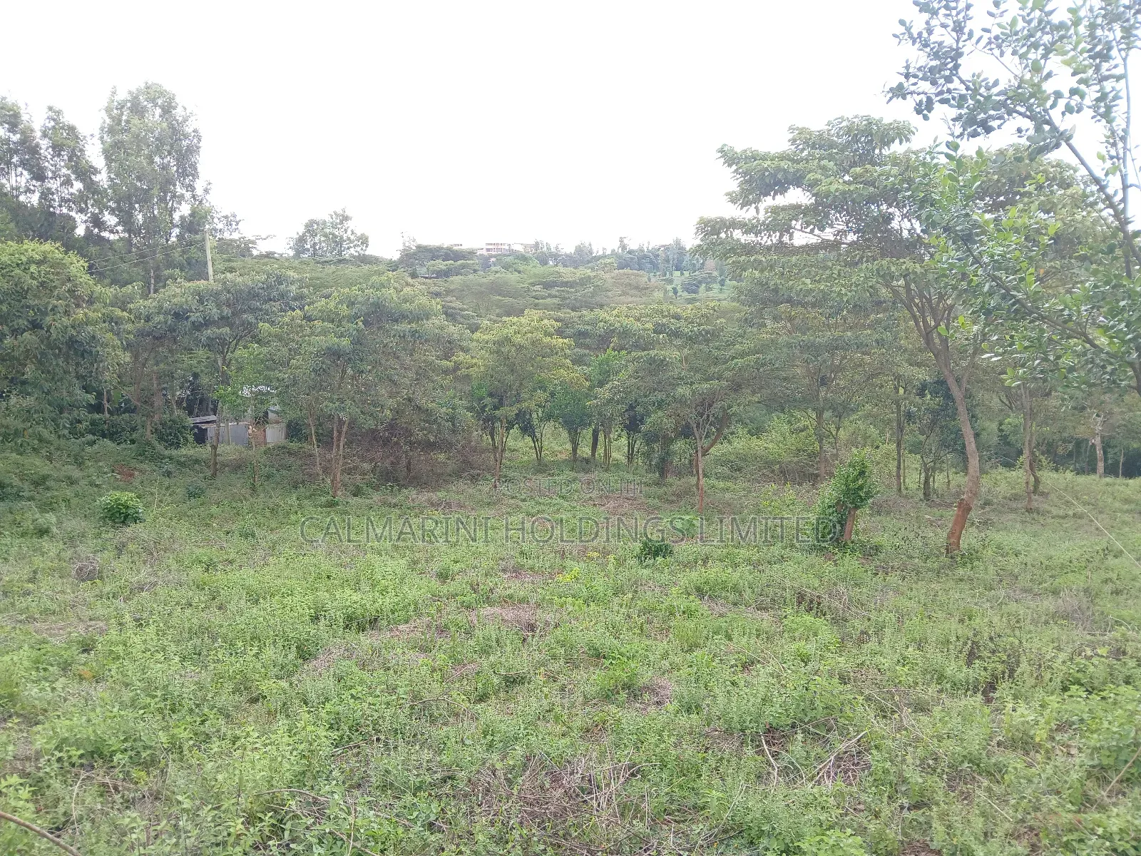 Prime Redsoil Half Acre Plot at Karen View, Matasia