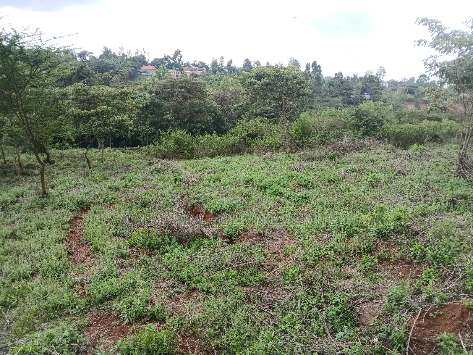 Prime Redsoil Half Acre Plot at Karen View, Matasia