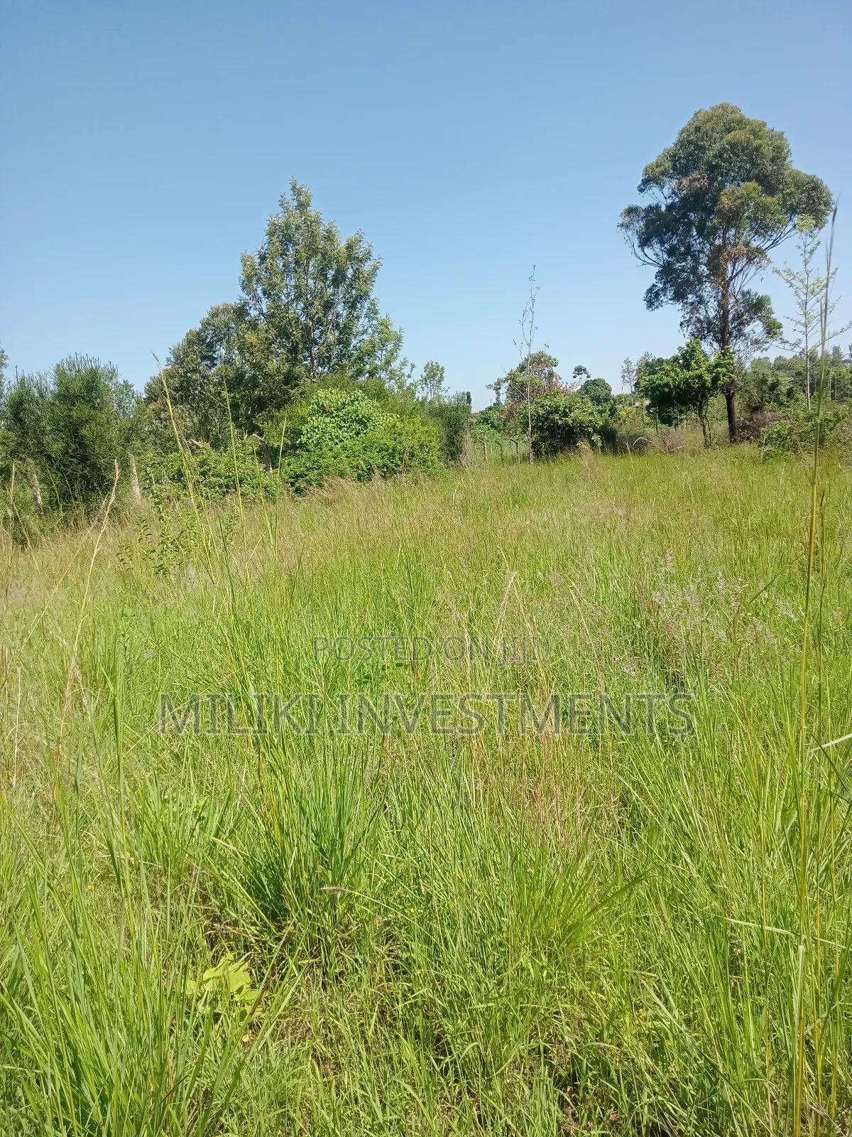 1.6 Acres Land on Sale at Makenji