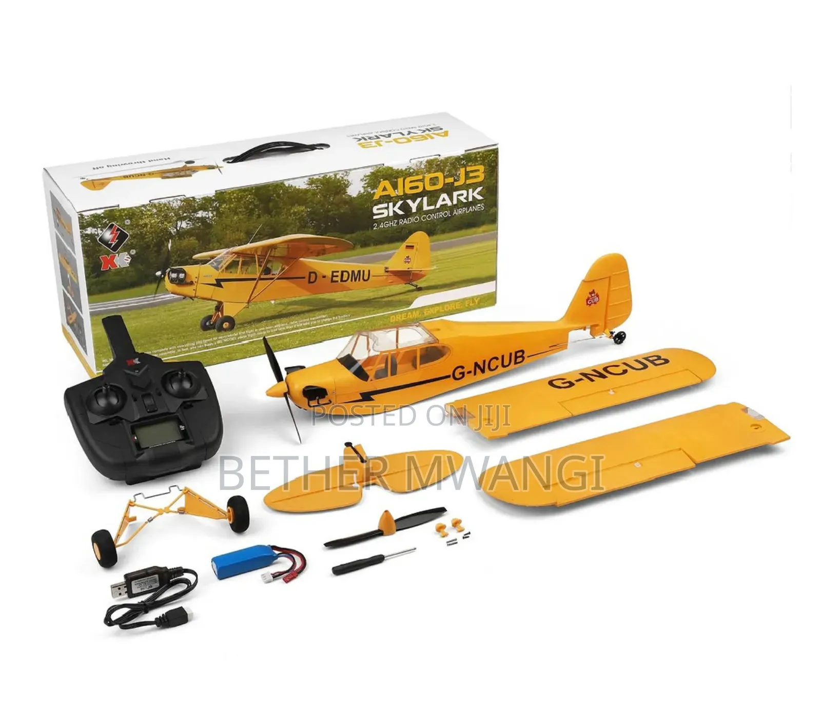 Large Brushless Remote Control Plane RC in Kenya