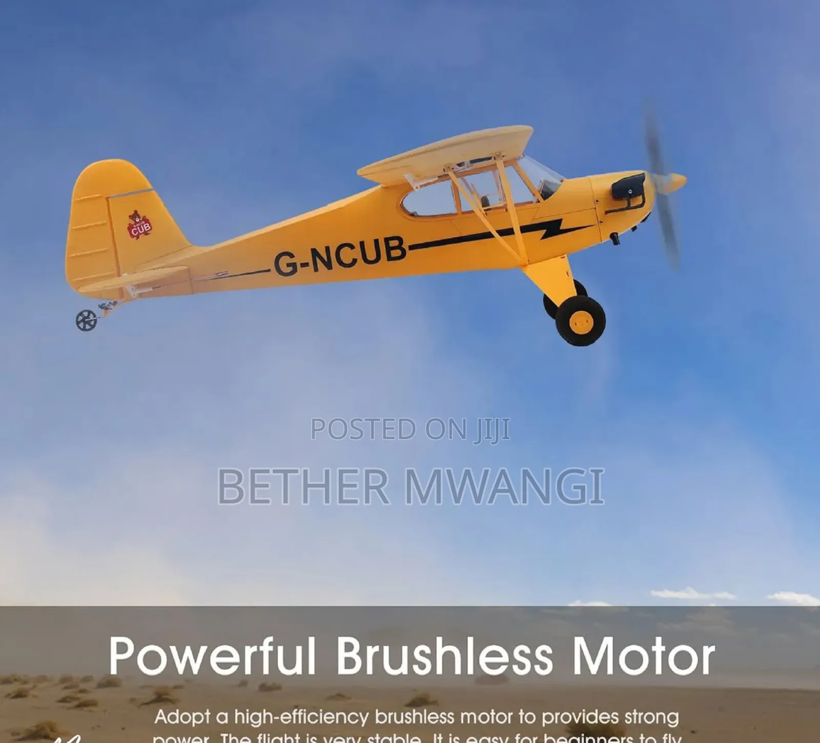 Large Brushless Remote Control Plane RC in Kenya