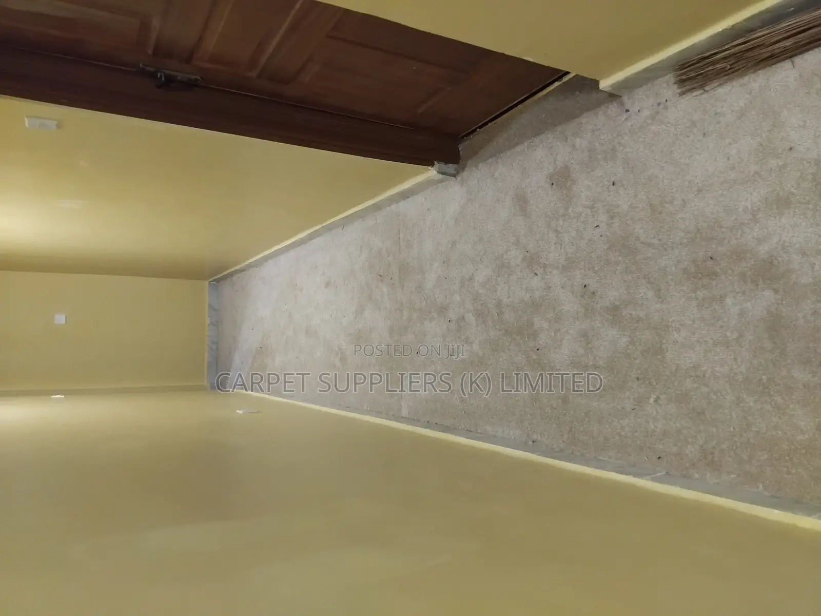 Hallways Carpets Beige