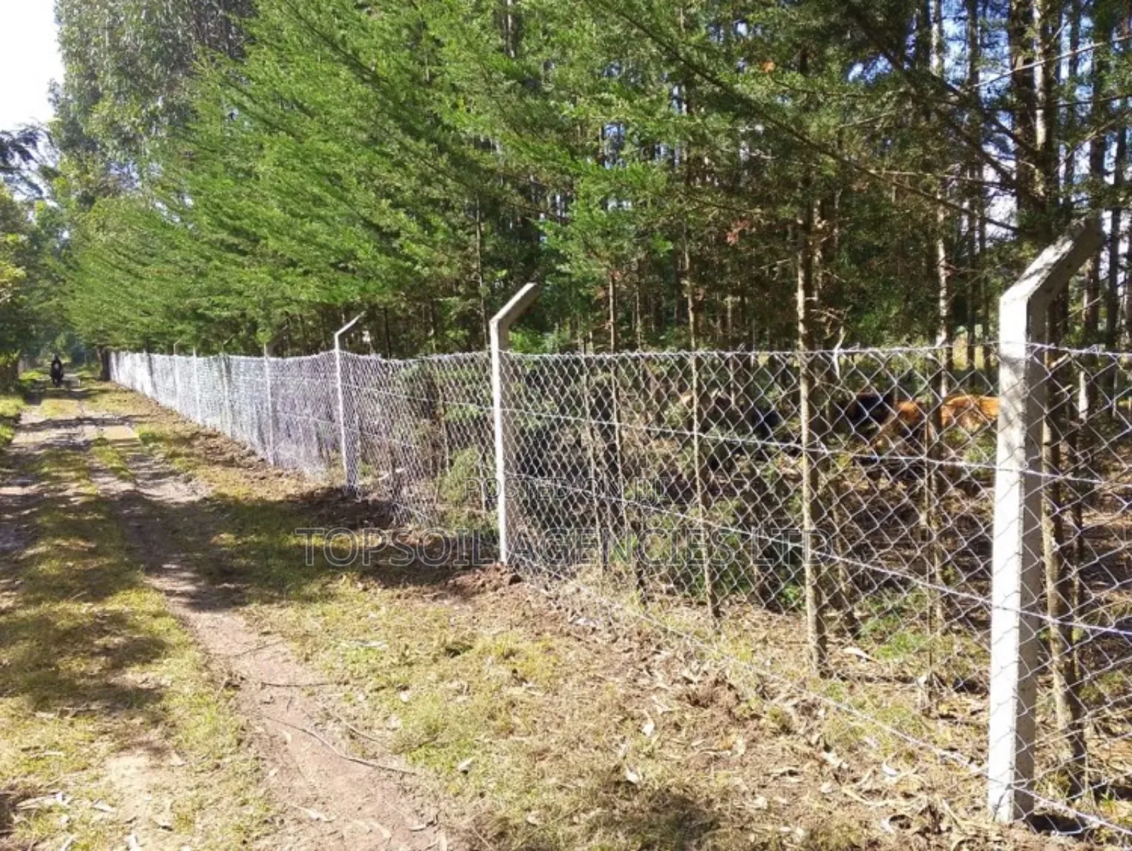 Fencing Post Made of Concrete
