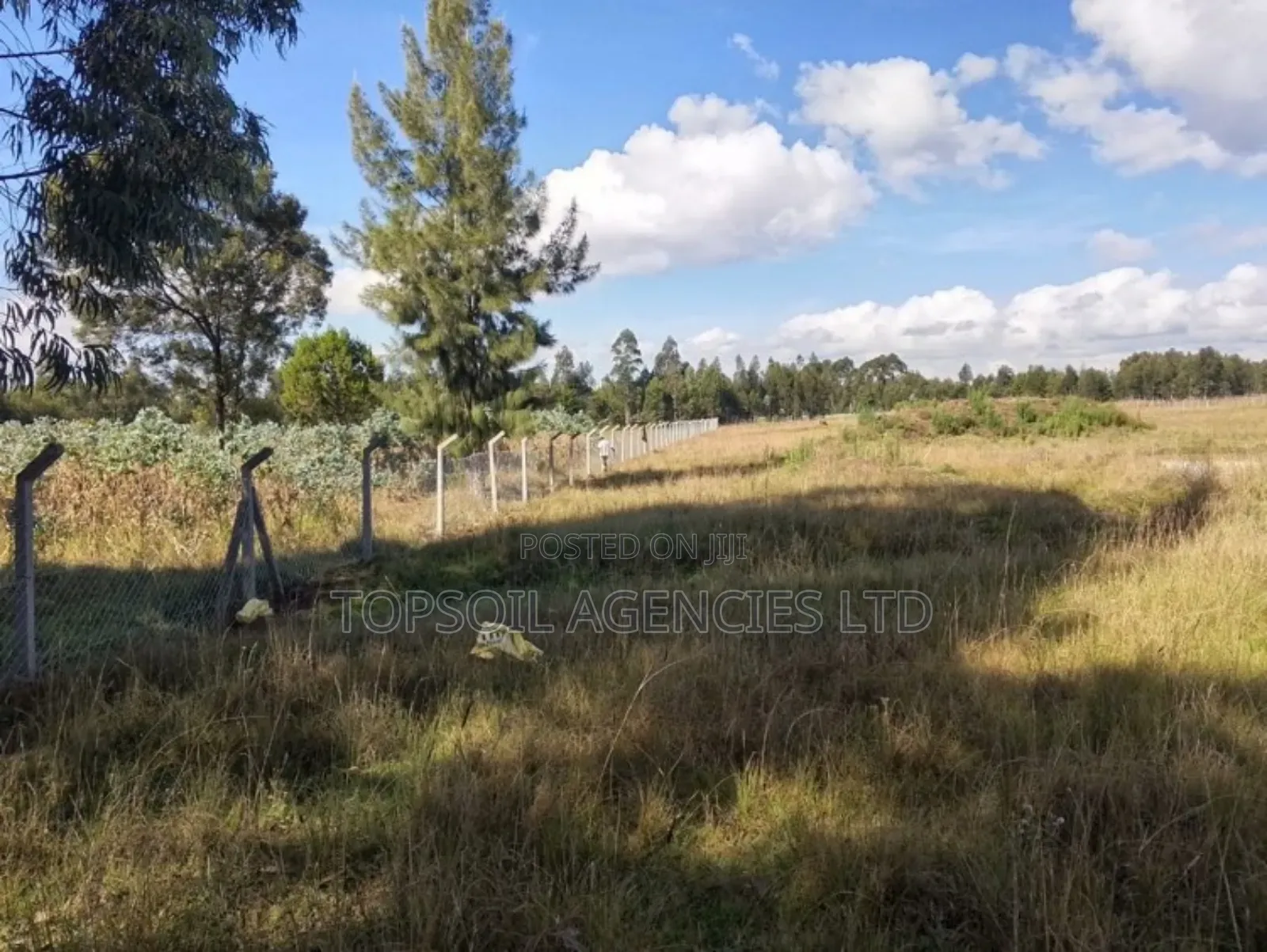 Fencing Post Made of Concrete