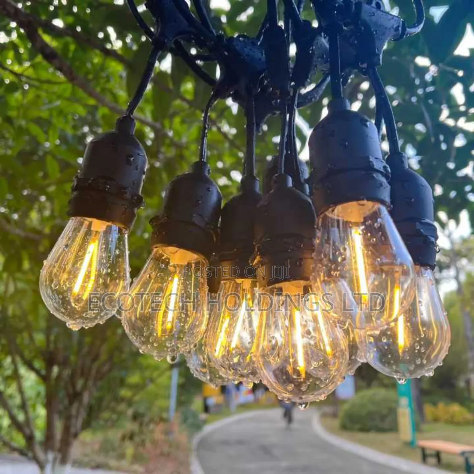Outdoor 20mtrs 25bulbs Option String Light Jf8c